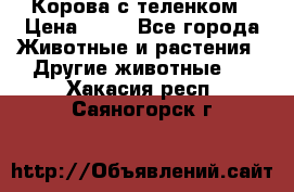 Корова с теленком › Цена ­ 69 - Все города Животные и растения » Другие животные   . Хакасия респ.,Саяногорск г.